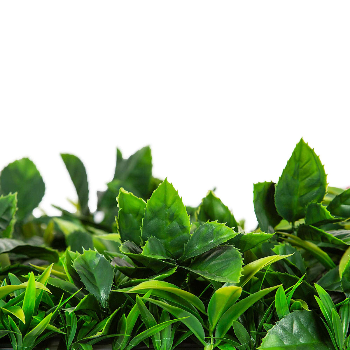 Green Meadows Vertical Garden UV STABILISED PREMIUM SAMPLE