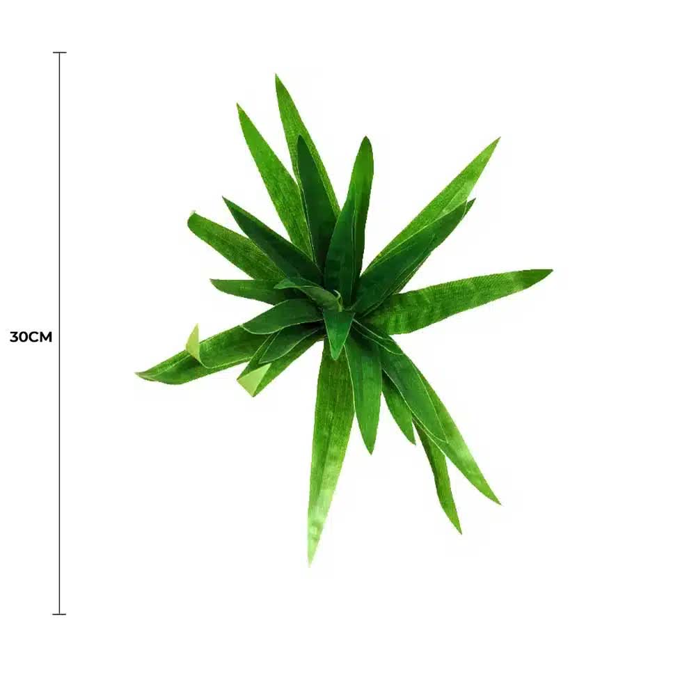 Aloe Vera Stem 30cm