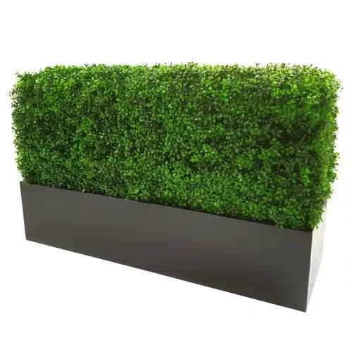 Luxury Deluxe Portable Buxus Bright UV Resistant 100cm x 50cm High x 25cm Wide
