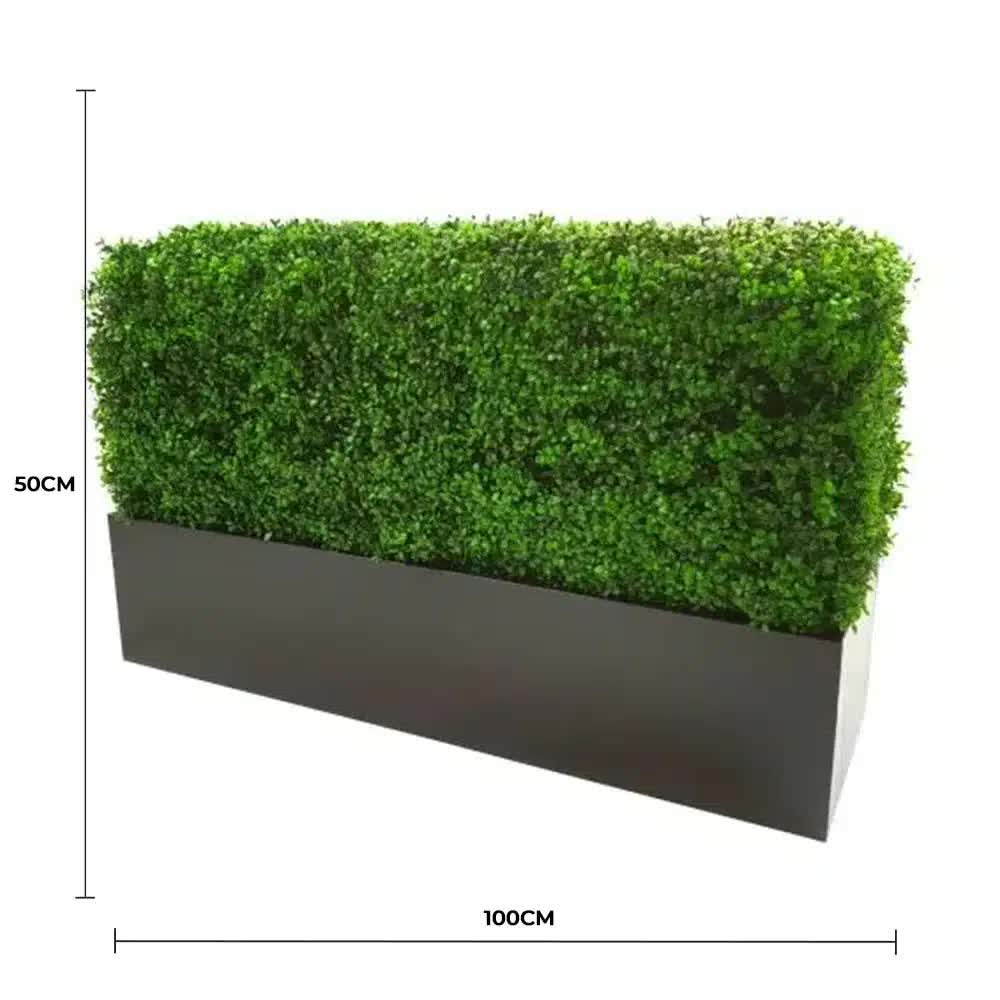 Luxury Deluxe Portable Buxus Bright UV Resistant 100cm x 50cm High x 25cm Wide