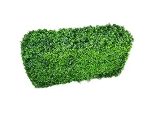 Luxury Deluxe Portable Buxus Bright UV Resistant 100cm x 50cm High x 25cm Wide
