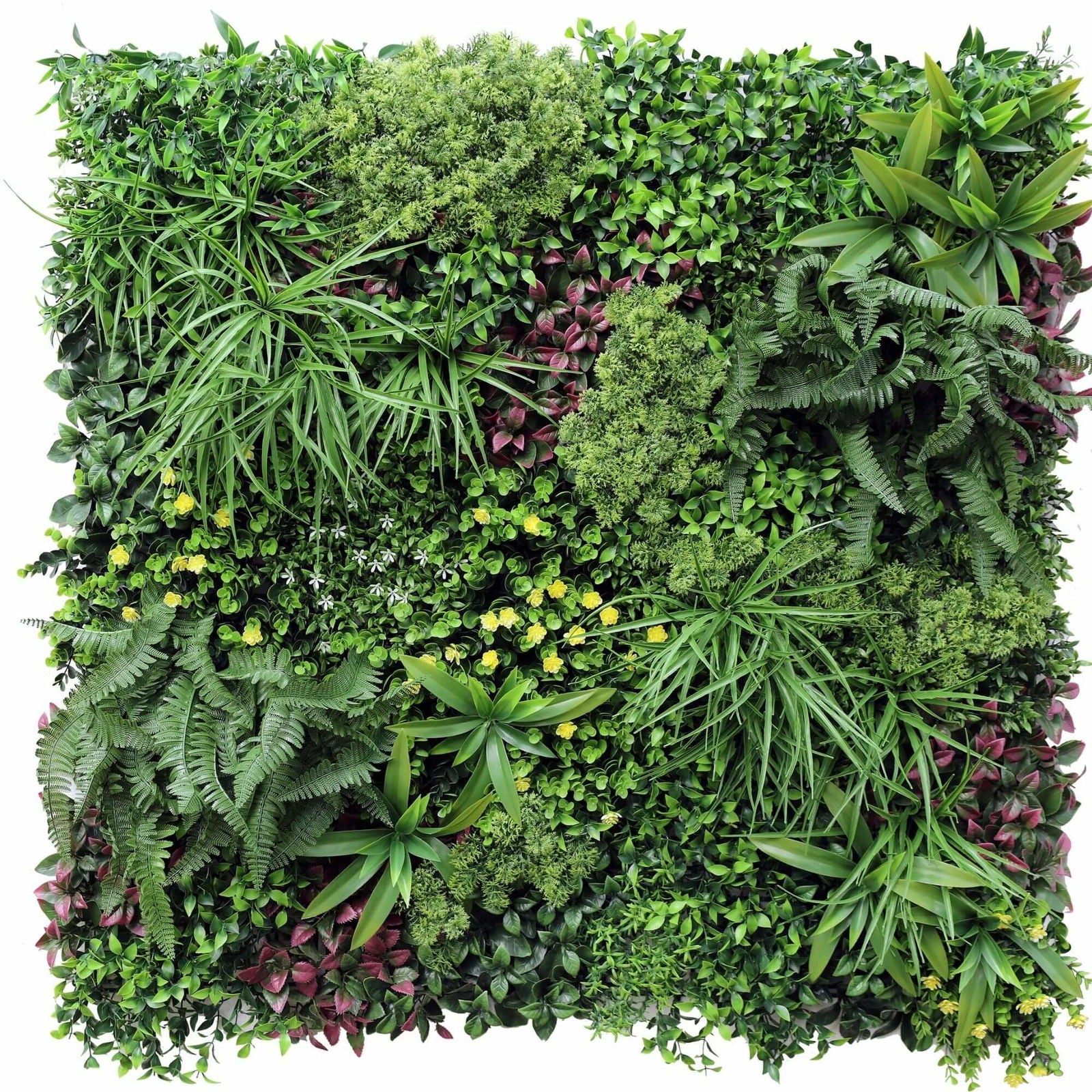 Luxury Country Fern Recycled Vertical Garden Green Wall Resistant 100cm X 100cm