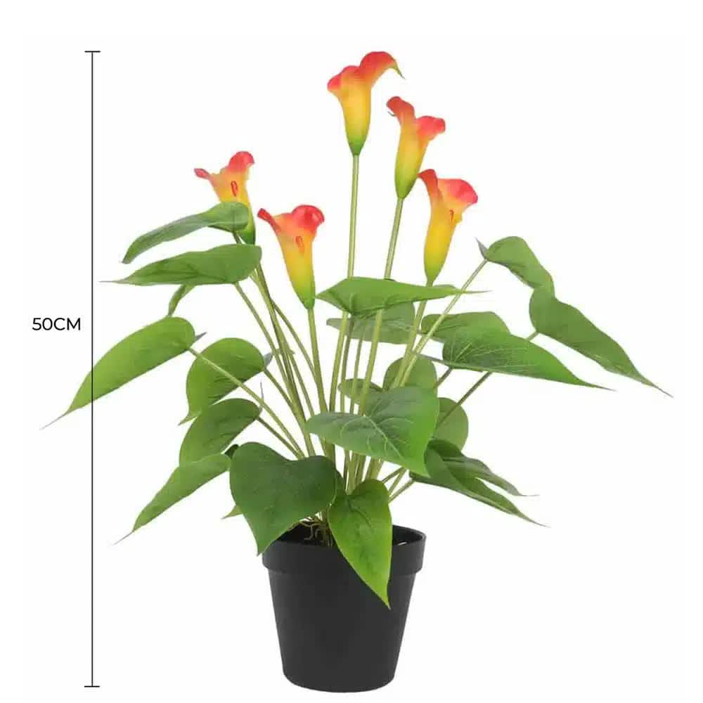Artificial Flowering White & Orange Peace Lily / Calla Lily Plant 50cm