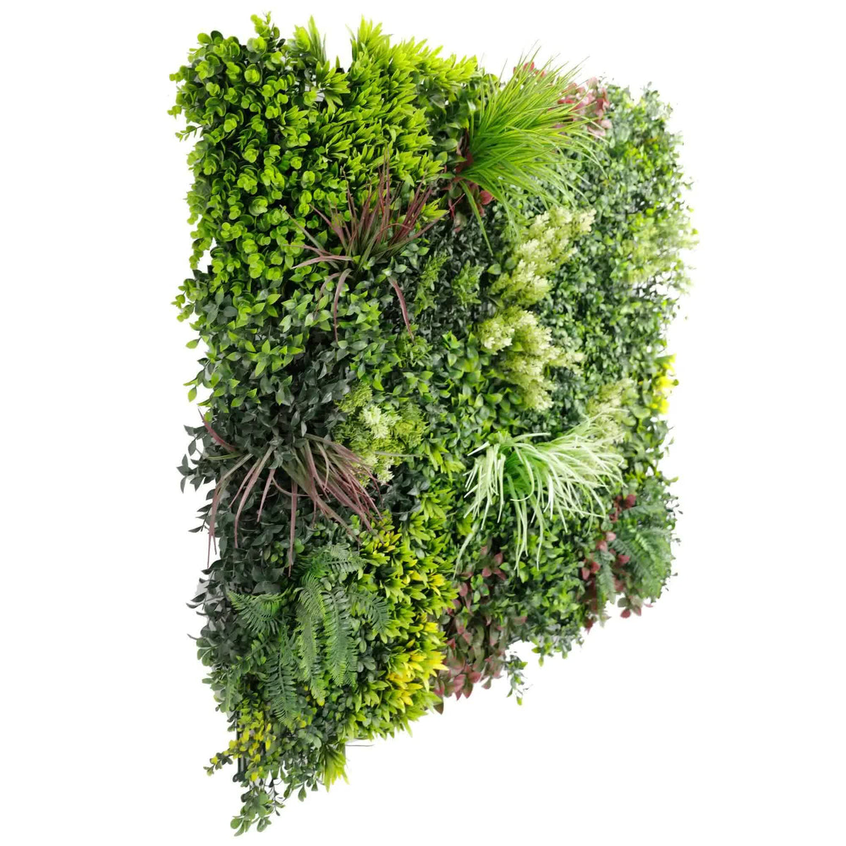 Luxury Evergreen Rainforest Recycled Vertical Garden Green Resistant 1m x 1m