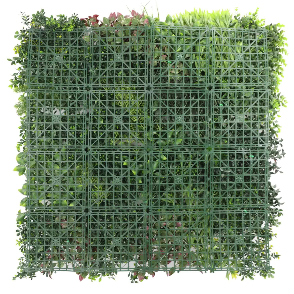 Luxury Evergreen Rainforest Recycled Vertical Garden Green Resistant 1m x 1m