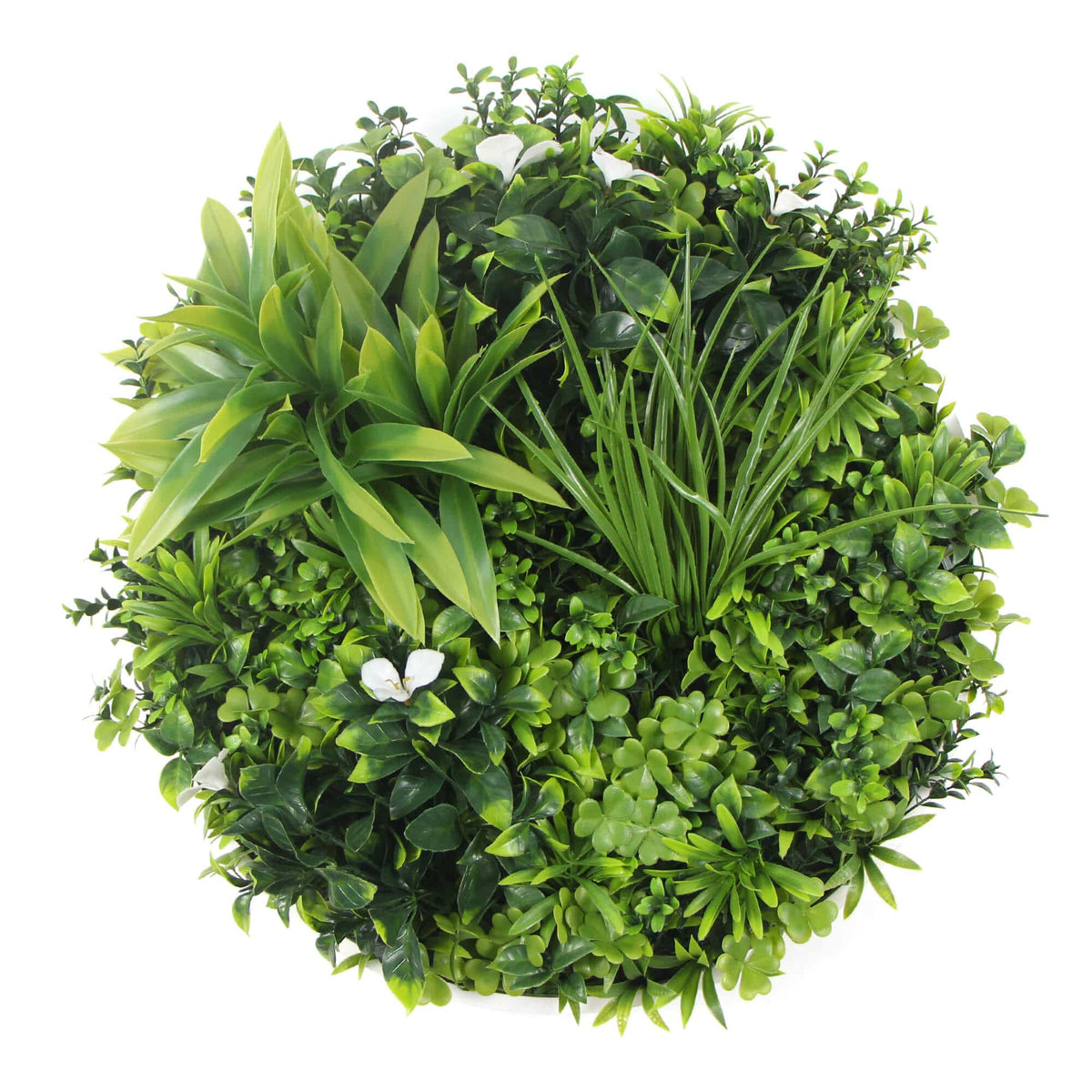 Two 50cm and One 75cm Flowering White Disc Bundle