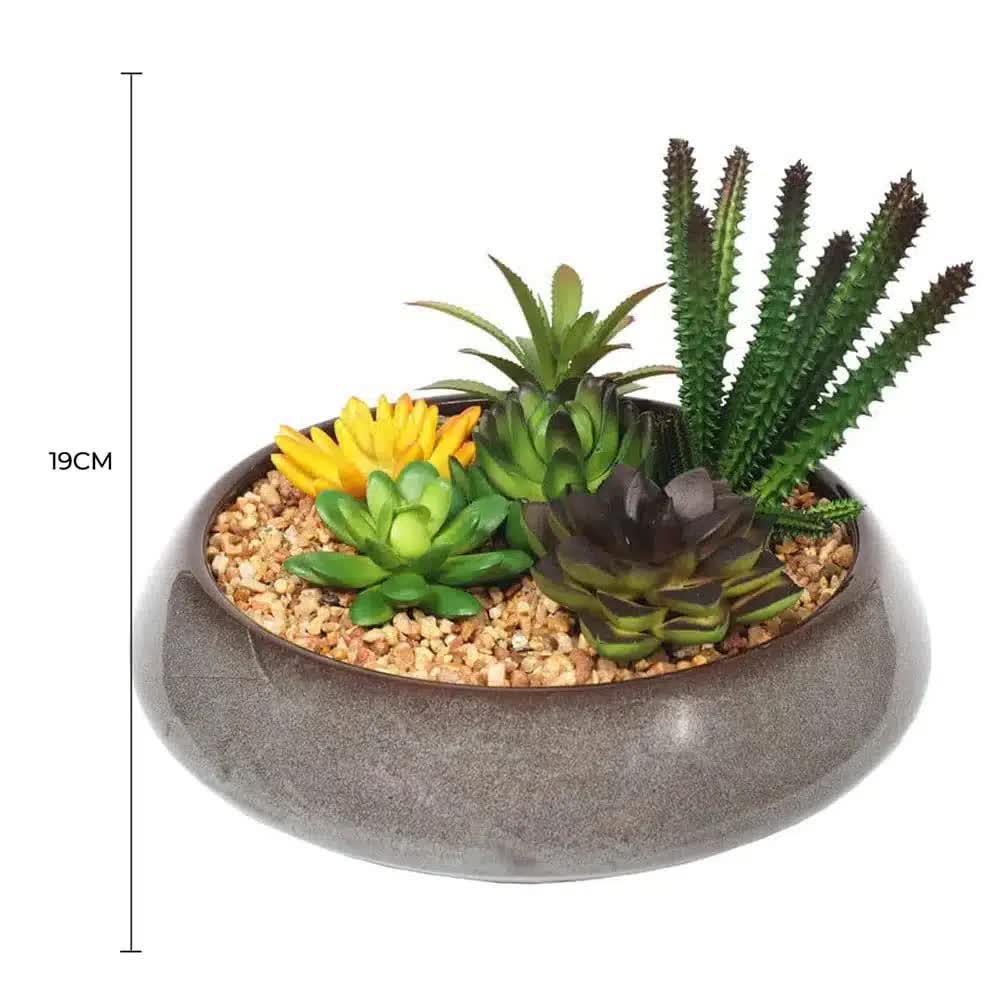 Potted Artificial Succulents with Round Decorative Bowl 19cm