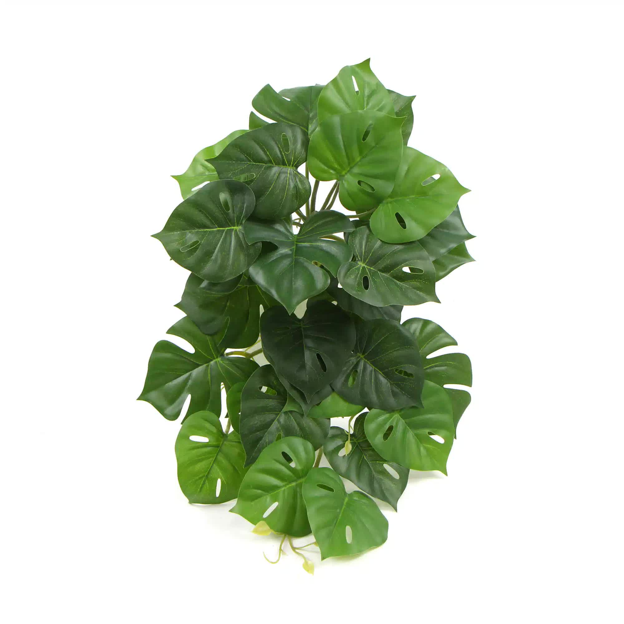 Artificial Monstera Adansonii Plant 50cm