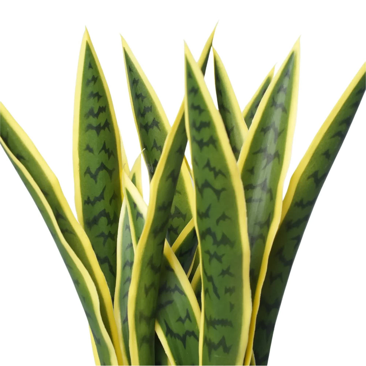 Artificial Mother in Law Tongue / Yellow Tongue Sansevieria UV Resistant 60cm