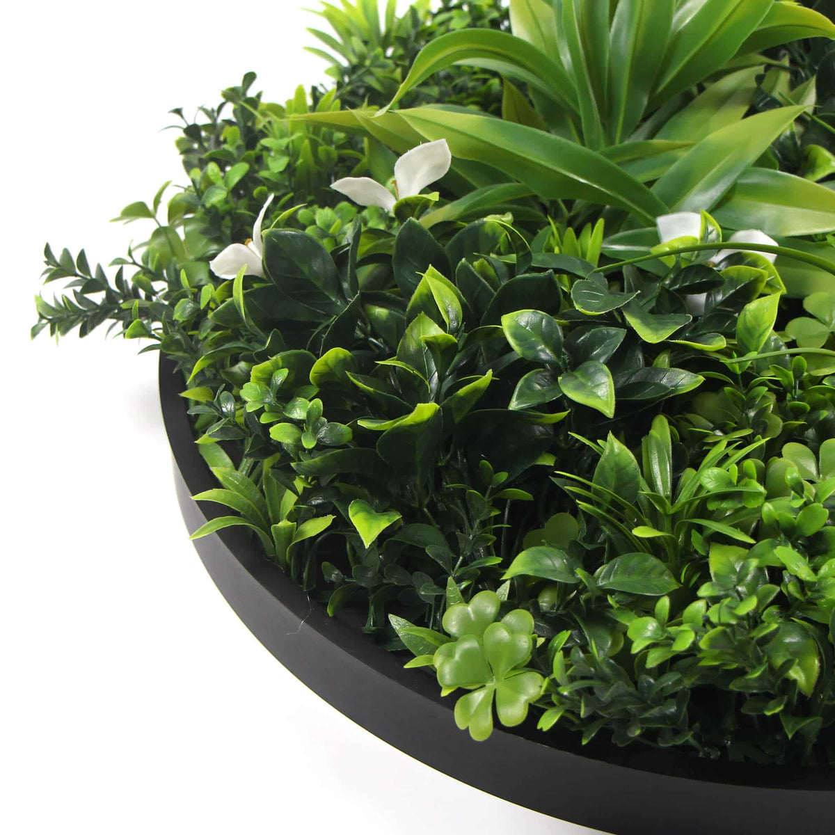 Slimline Flowering White Artificial Green Wall Disc Resistant 75cm Black Frame