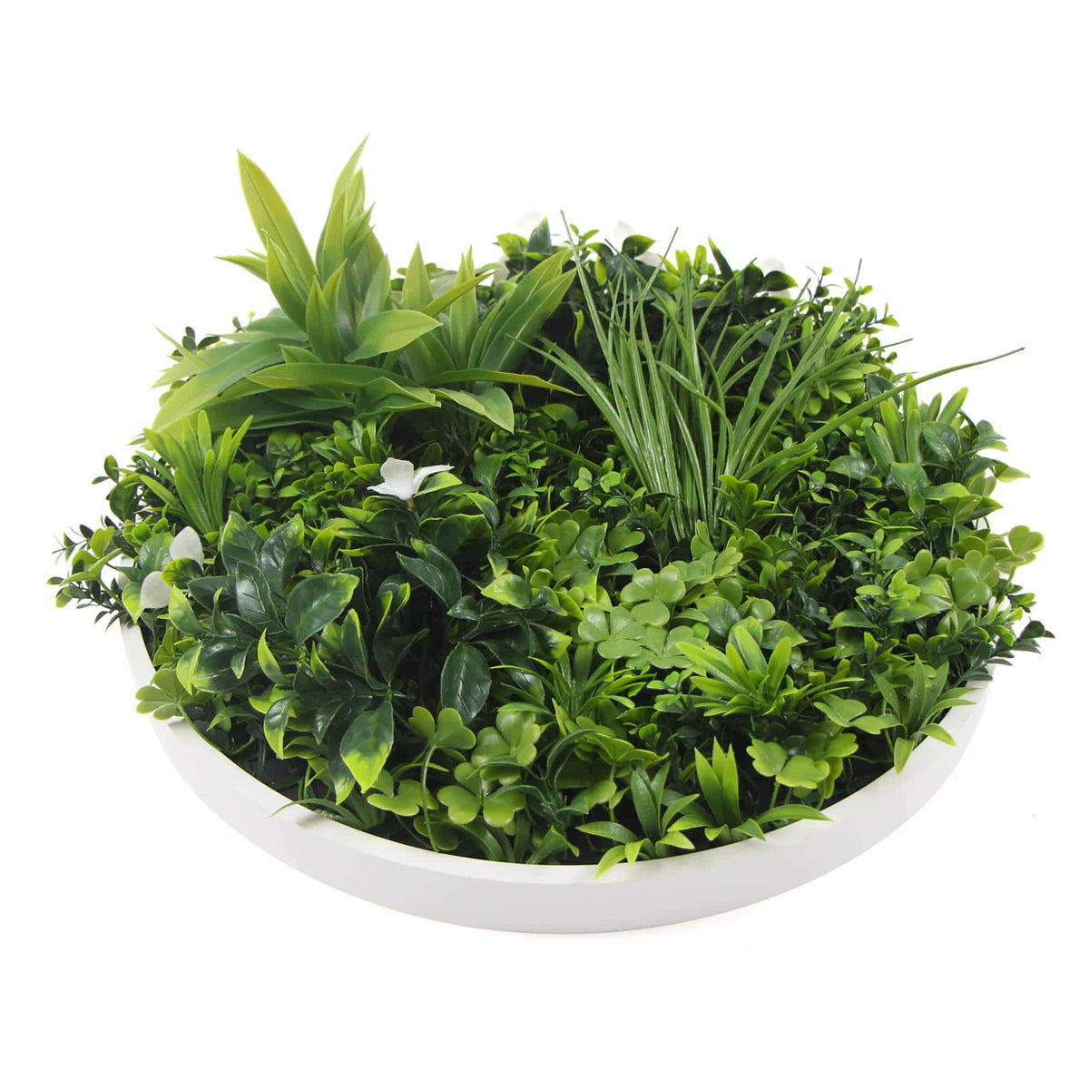 Slimline Flowering White Artificial Green Wall Disc Resistant 100cm White Frame