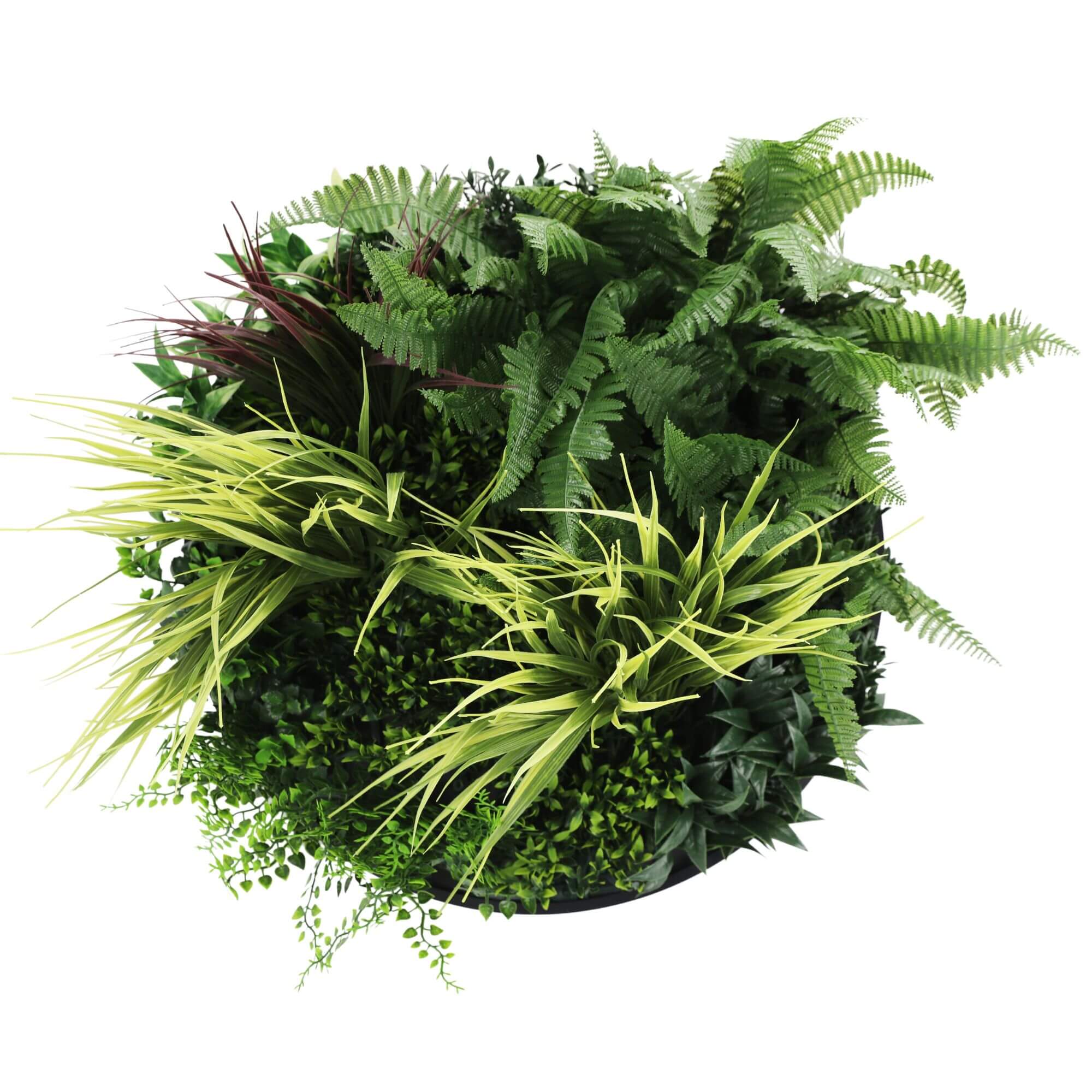 Slimline Artificial Green Wall Disc Art 50cm Grassy Fields UV Resistant Black
