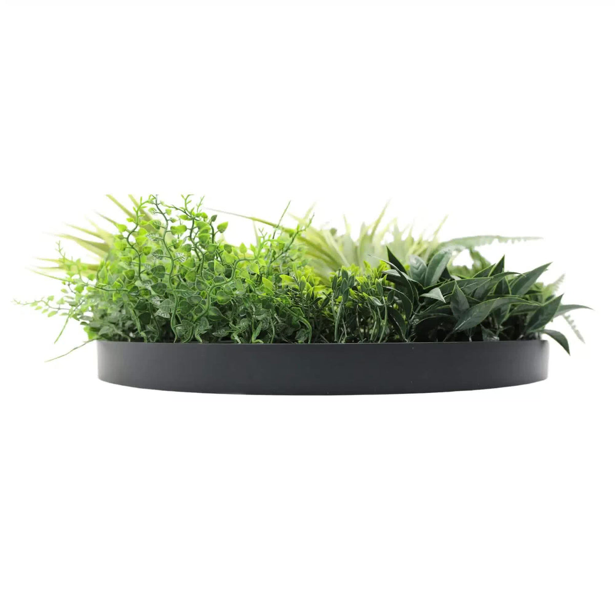 Slimline Artificial Green Wall Disc Art 50cm Grassy Fields UV Resistant Black