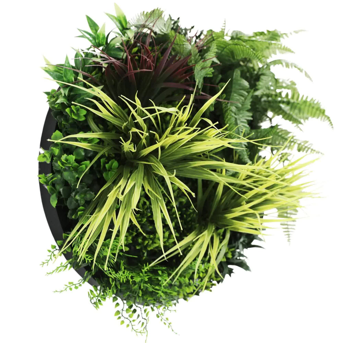 Slimline Artificial Green Wall Disc Art 50cm Grassy Fields UV Resistant Black