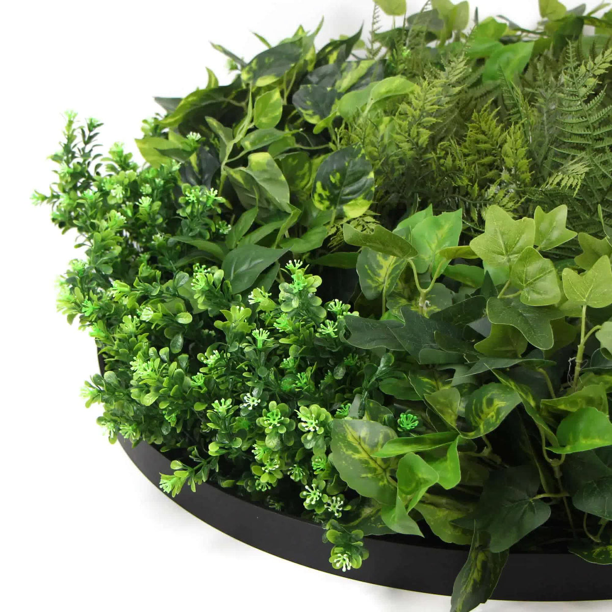 Slimline Artificial Green Wall Disc Art 80cm Mixed Green Fern Ivy Modern Black
