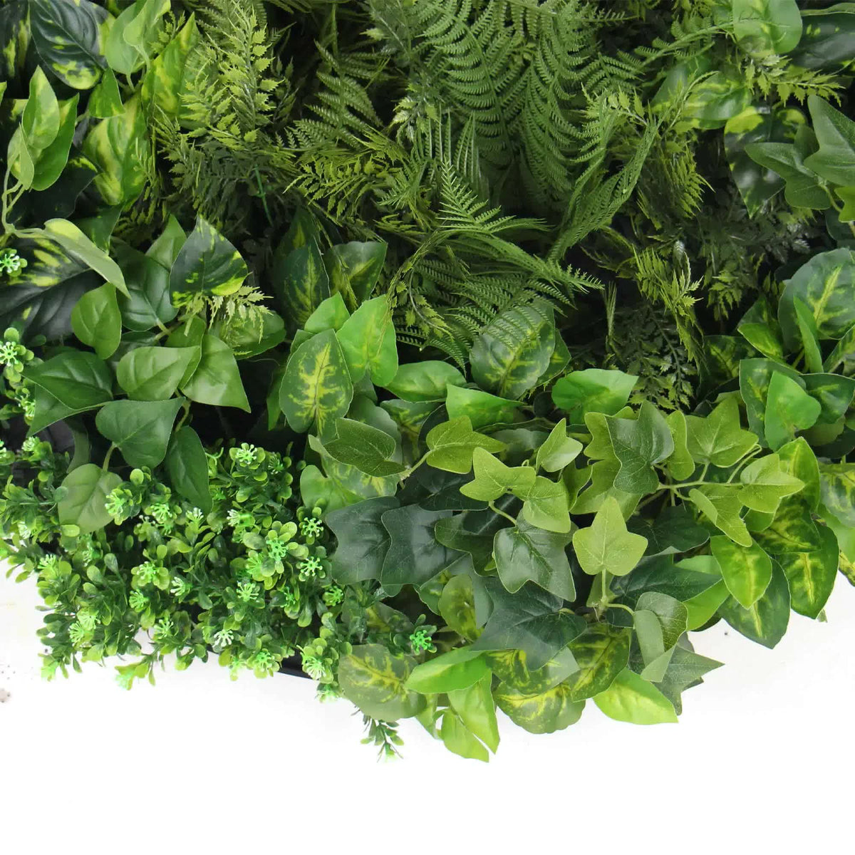Slimline Artificial Green Wall Disc Art 80cm Mixed Green Fern Ivy Modern Black