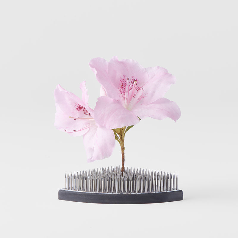 Kenzan Ikebana Pin Base 7.6cm Fan