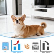 200pcs Dog Absorbent Training Pad 60 x 60 cm