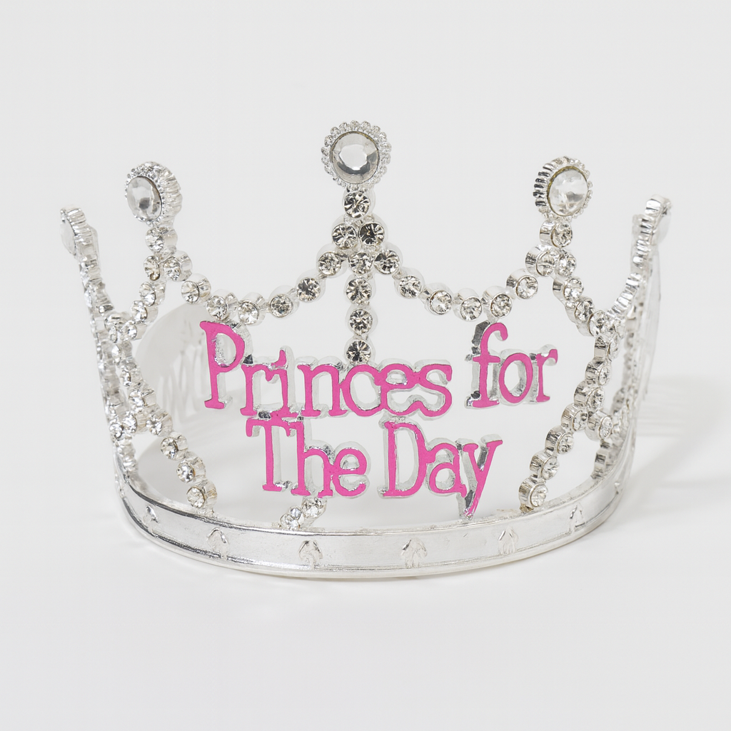 Princess for the Day Tiara Silver Rhinestone Crown w/ Pink Lettering Silver