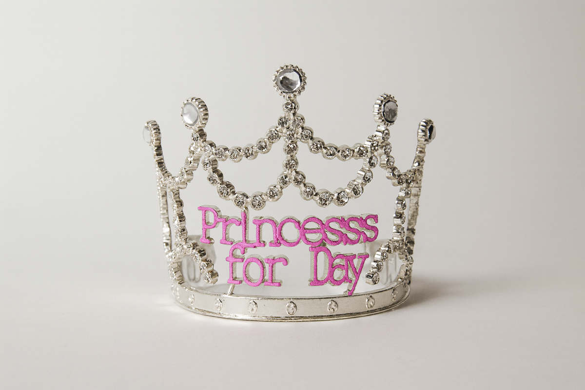 Princess for the Day Tiara Silver Rhinestone Crown w/ Pink Lettering Silver