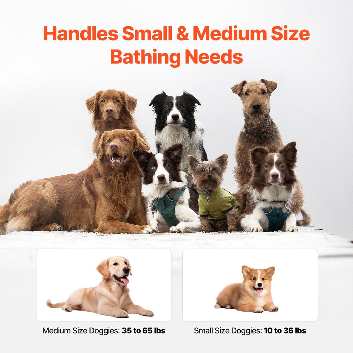 Portable Dog Bathtub, Elevated & Foldable Space-saving Pet Shower Station with Efficient Drainage, Bathing Tub for Washing & Grooming Small and Medium Size Dogs and Cats Indoor & Outdoor, Grey