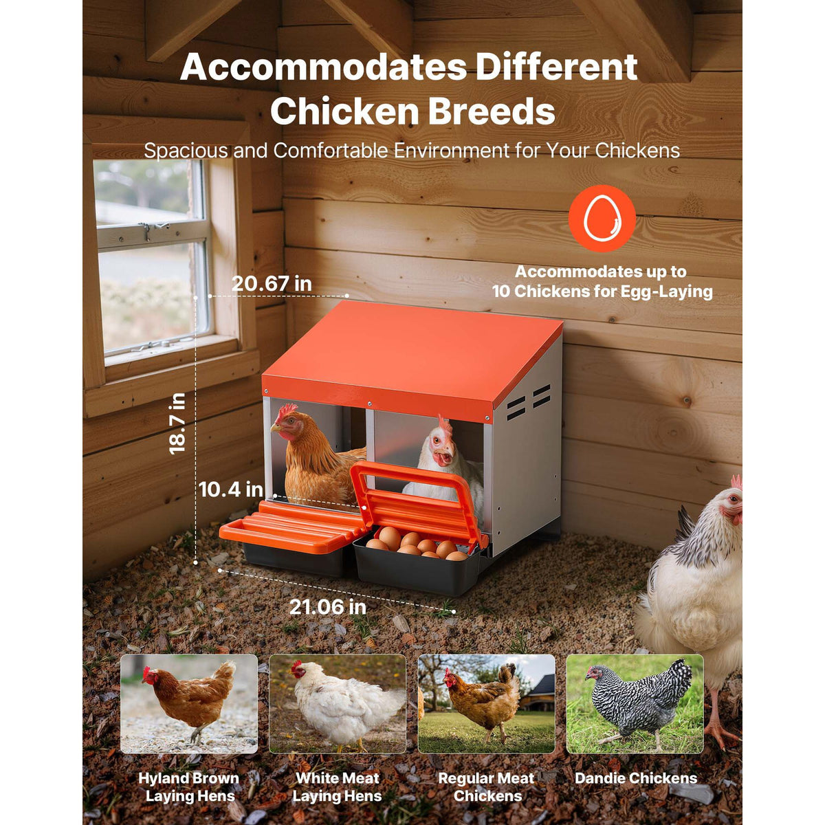 Chicken Nesting Boxes, 2 Compartments, Easy Egg Collection, Wall Mount, Easy to Assemble, Galvanized Steel and High-Strength Plastic, Roll Away Nesting Boxes for Chickens Laying Eggs, Orange