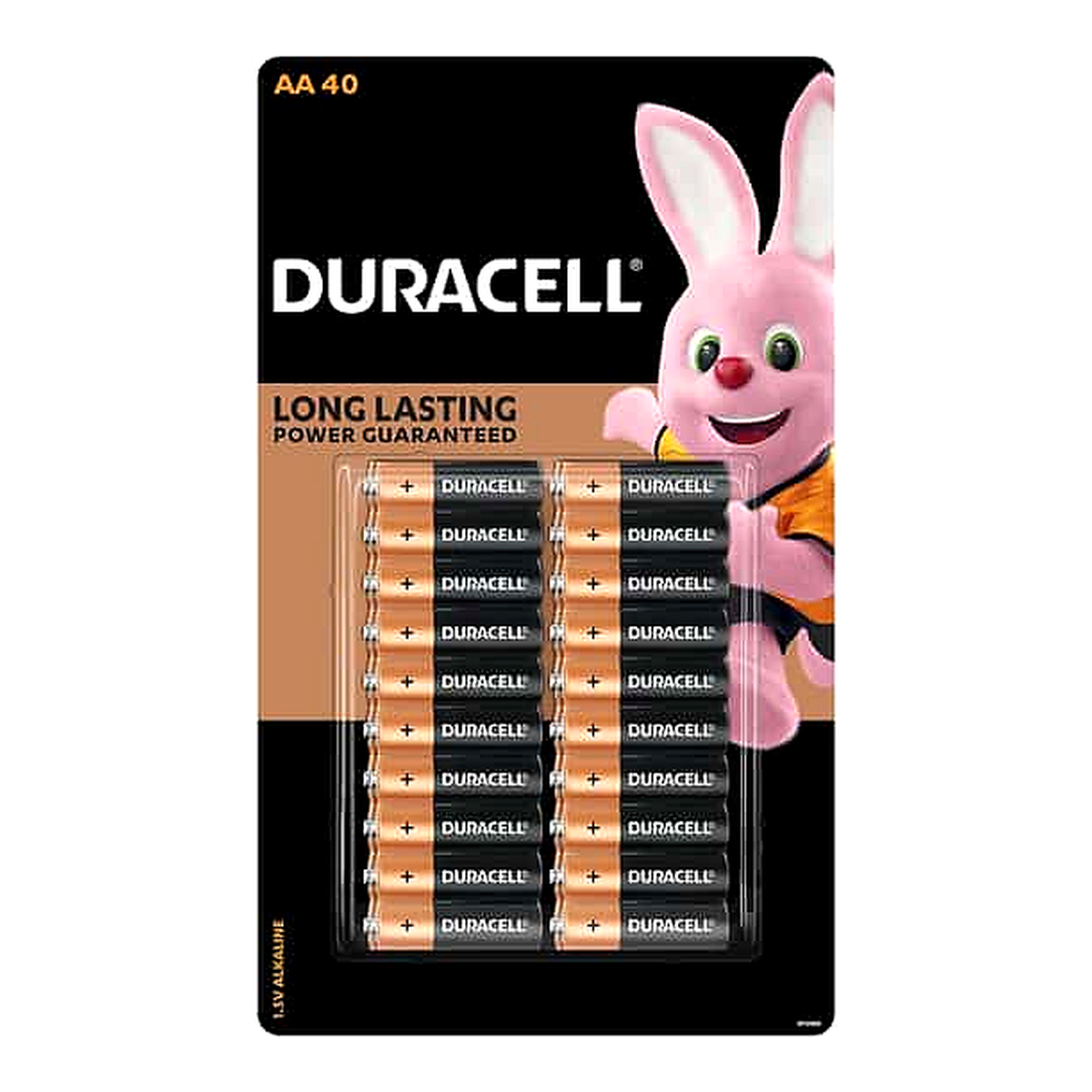 Duracell Coppertop AA Batteries (40 pk)
